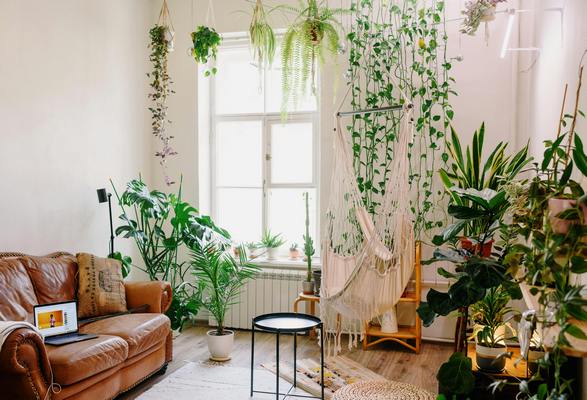 soba sa saksijskim cvecem